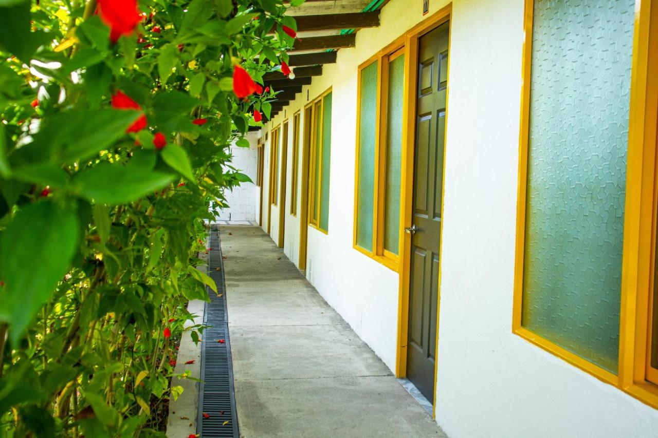 Hotel Villa Bosco Пальмира Экстерьер фото